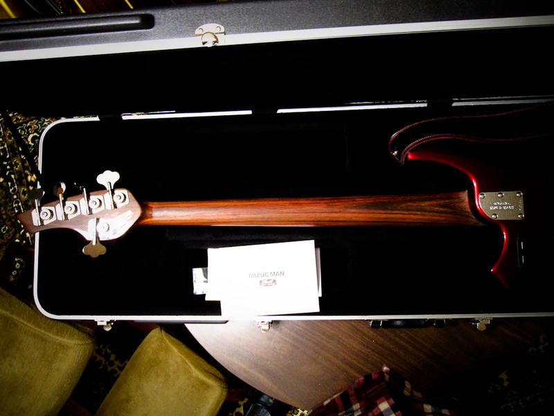 musicman bongo5 hh bfr